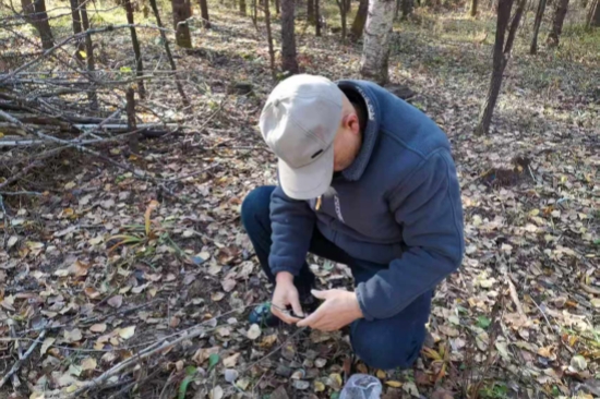 1763947256186557.jpg 泉林公司全面開展越冬前鼠害專項(xiàng)調(diào)查工作(1).jpg