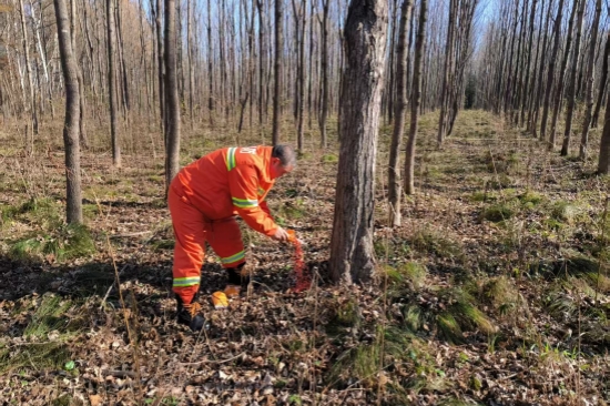 1764035012347844.jpg 泉林公司圓滿完成秋季鼠害防治工作(3).jpg